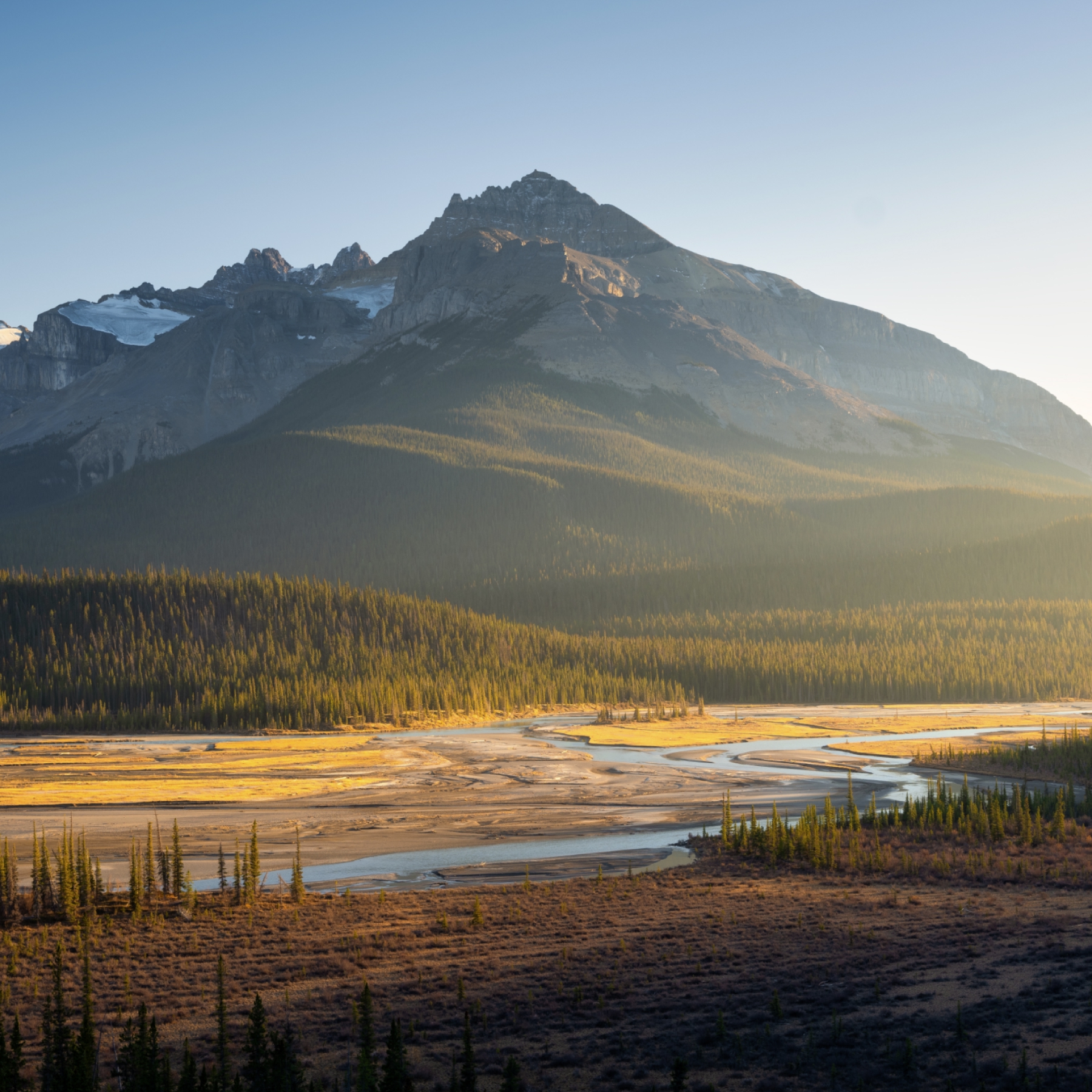 Mountain landscape with a river valley and forest in warm evening light.
